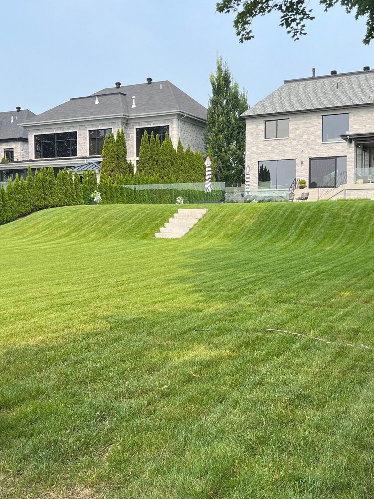 tonte de pelouse gazon laval-sur-le-lac bienvert paysagement 4 tonte de pelouse gazon laval-sur-le-lac bienvert paysagement 4