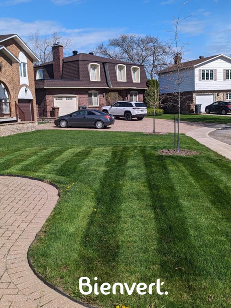 tonte de pelouse gazon sainte-dorothee bienvert paysagement 2 tonte de pelouse gazon sainte-dorothee bienvert paysagement 2